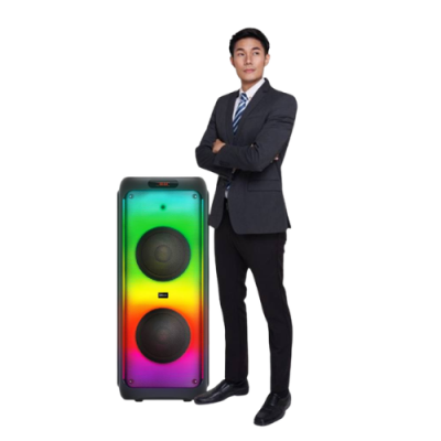 SonicGear AudioX Pro 1200 HD Portable Speaker